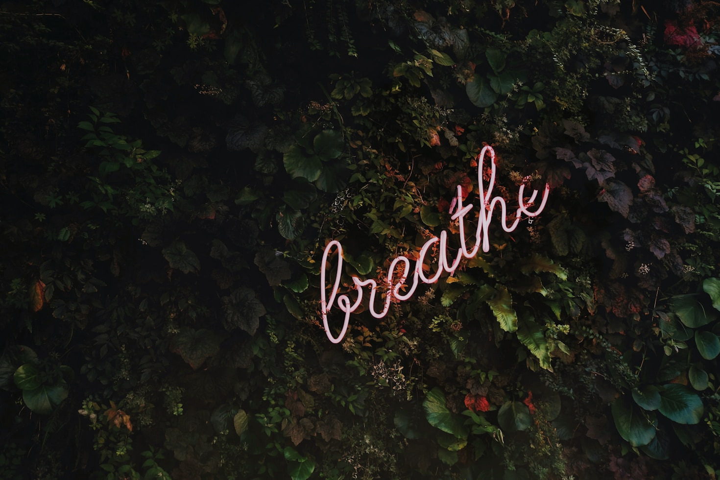 How to Build Resilience in Stressful Times