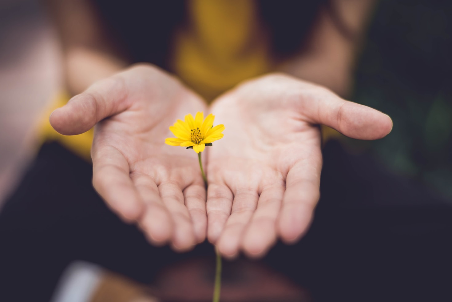 Embrace Growth: Turning Challenges into Opportunities