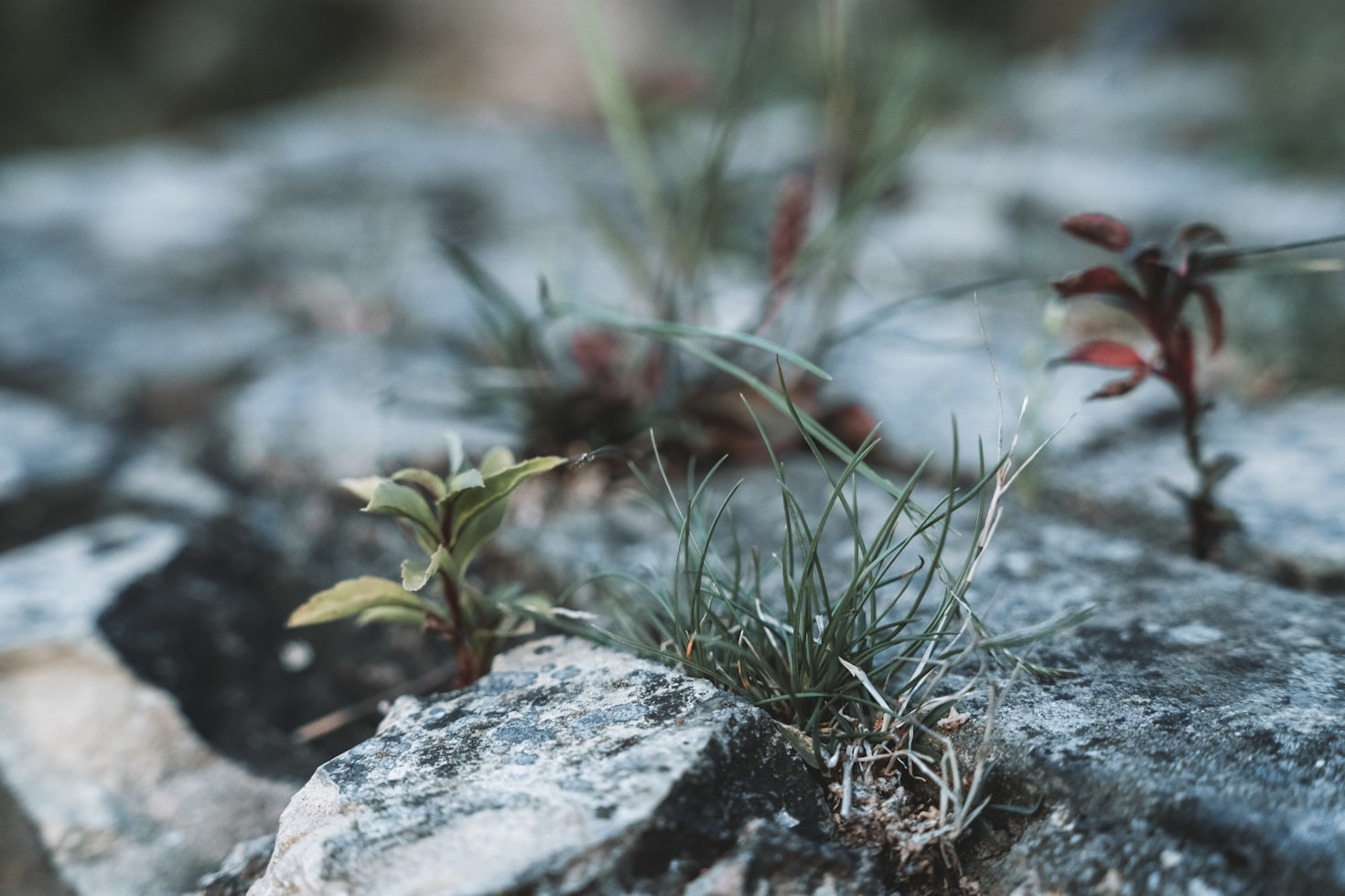 The Science Behind Positivity and Resilience