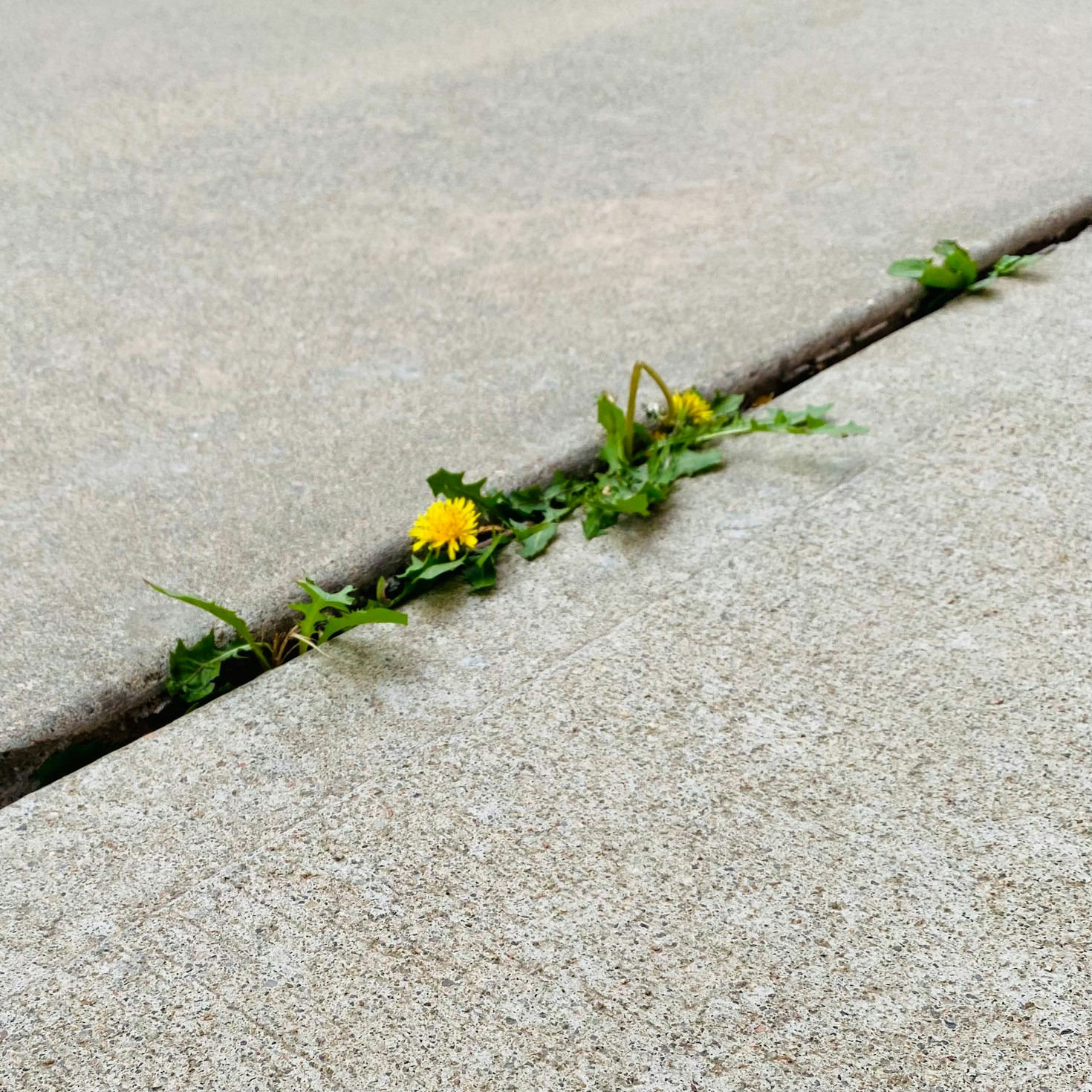 Overcoming Negativity with Actionable Techniques
